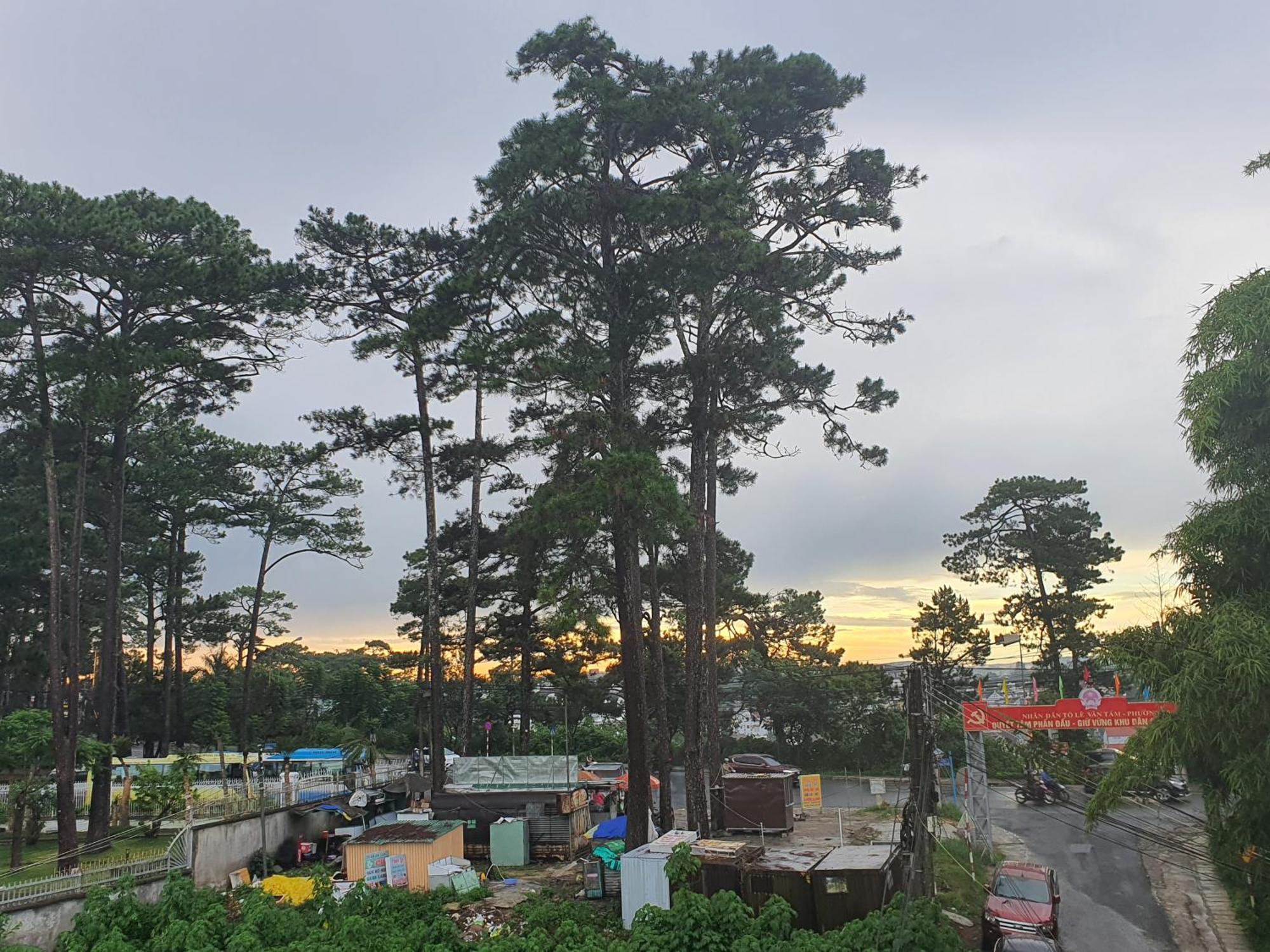 Duy Hotel Da Lat Esterno foto